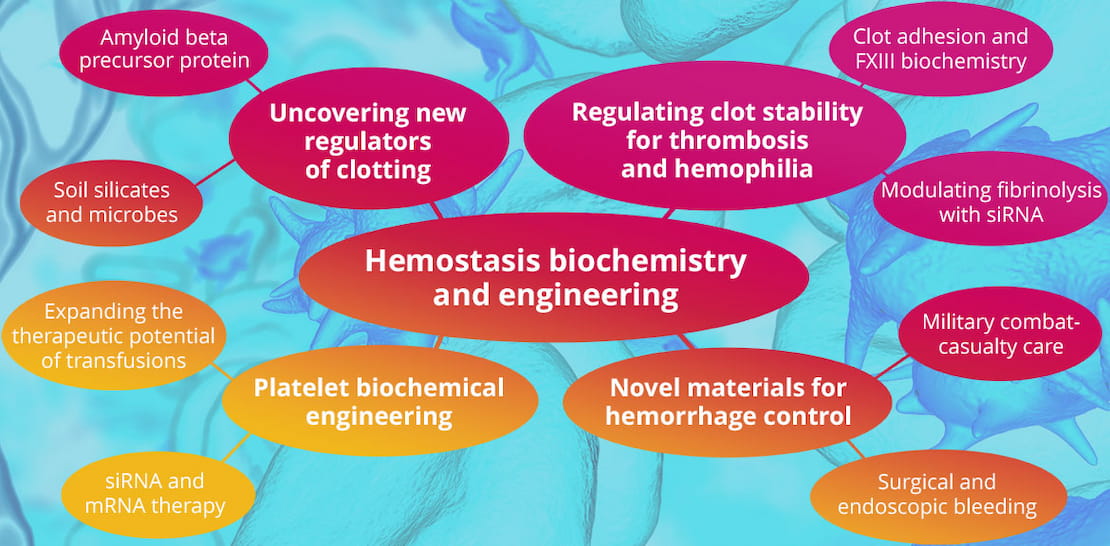 Spidergram Illustration