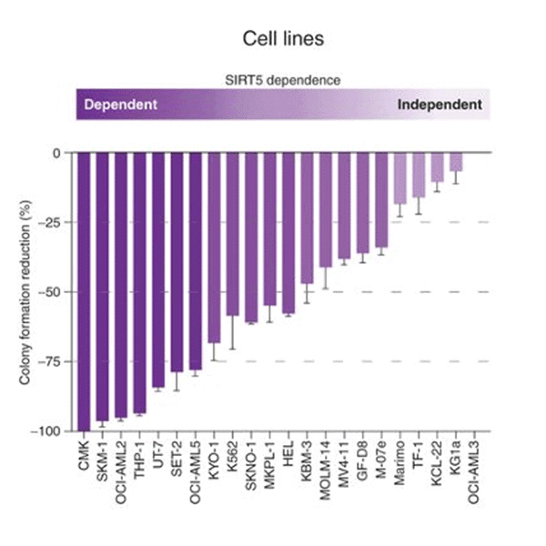 Cell lines graph.