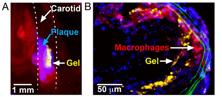 Kastrup Publication Illustration