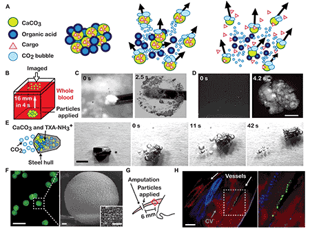 Kastrup Publication Illustration