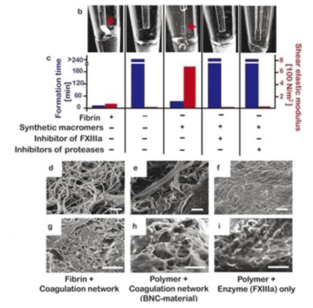 Kastrup Publication Illustration