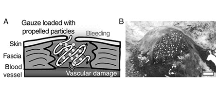 Kastrup Publication Illustration