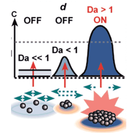 Kastrup Publication Illustration