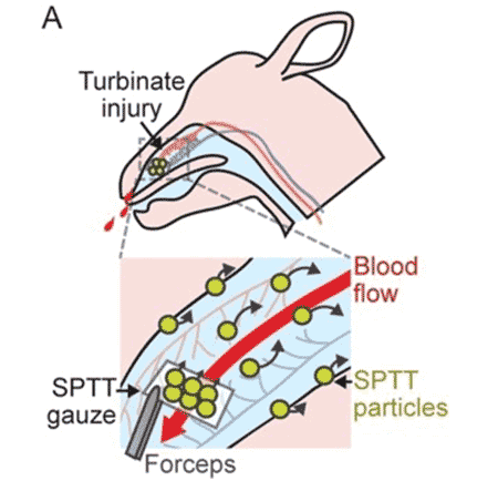 Kastrup Publication Illustration