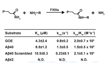 Kastrup Publication Illustration