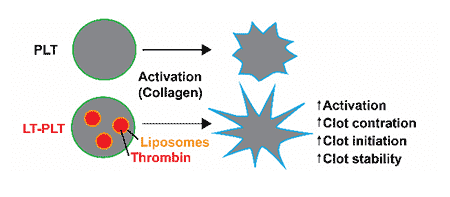 Kastrup Publication Illustration