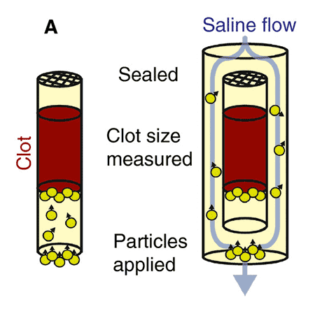 Kastrup Publication Illustration