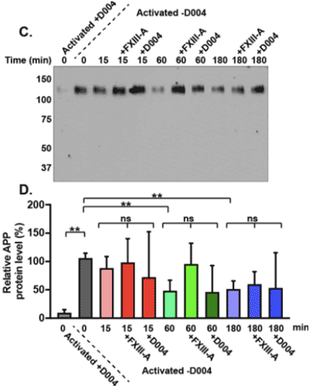 Kastrup Publication Illustration