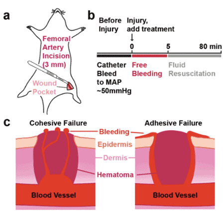 Kastrup Publication Illustration