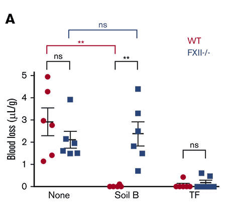 Kastrup Publication Illustration