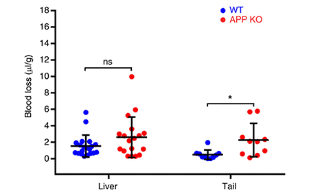 Kastrup Publication Illustration
