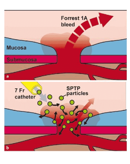 Kastrup Publication Illustration